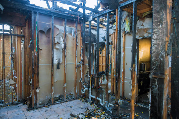 Professional Fire Damage Repair technician working in Bradenton, FL